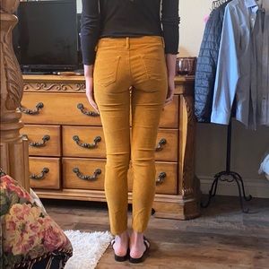 Corduroy skinny jeans : BLANK NYC